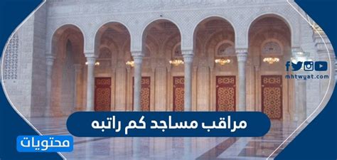 ما يقال عن جامعة الناصر من قبل منتسبيها (إداريين وأعضاء هيئة تدريس وطلاب). جامعة جازان مشهد بالراتب