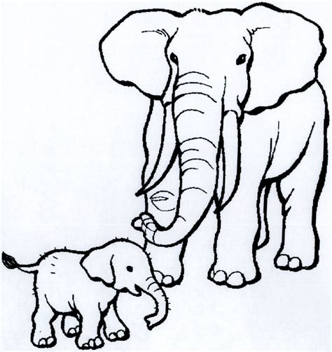 Free african animal coloring pages to color in online, or print out and use crayons, markers, and paints. African Animals Coloring Pages | Click on each image to get downloadable pages that… | Animal ...