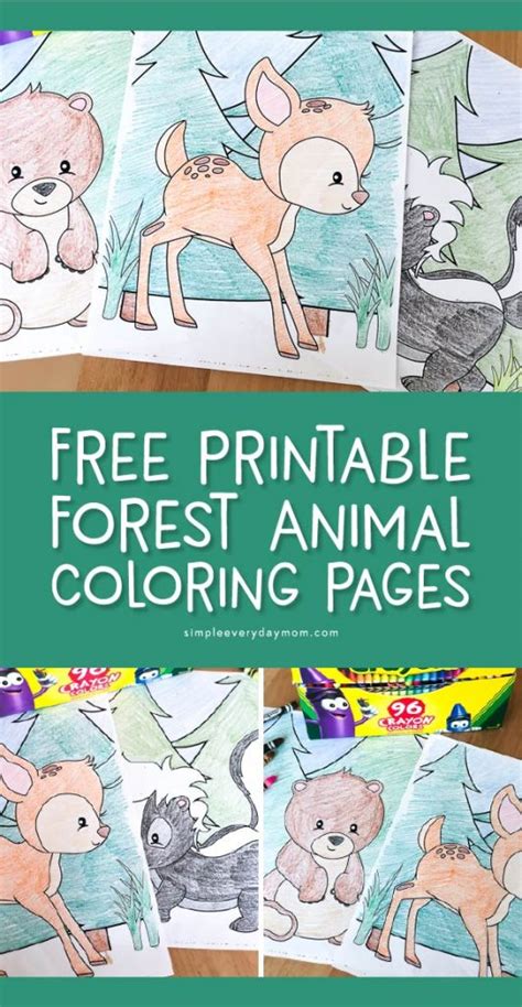 Free Printable Woodland Animal Coloring Pages For Kids