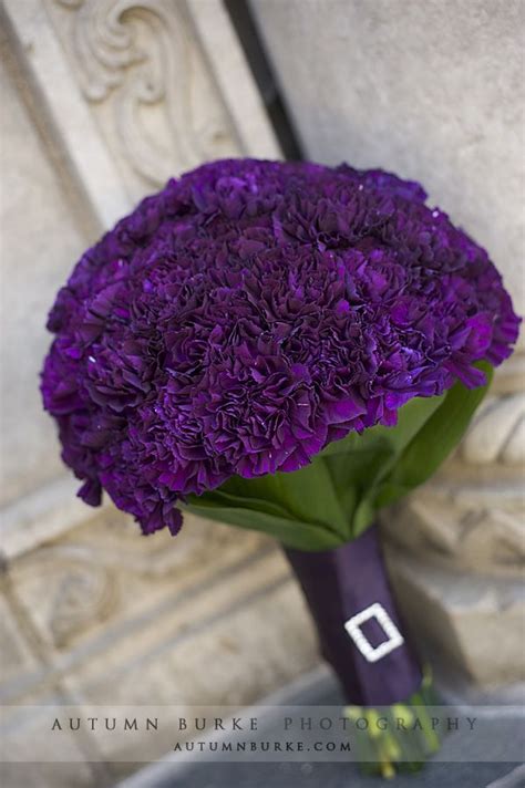 Purple Carnations Purple Carnation Bouquet Purple Carnations Purple Bouquets Purple Wedding