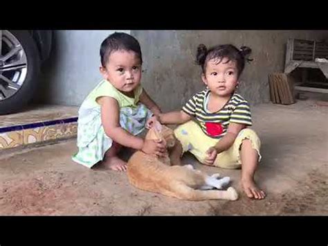 Cocok untuk puisi hari guru nasional dan perpisahan. ANAK KECIL BERMAIN SAMA KUCING - YouTube