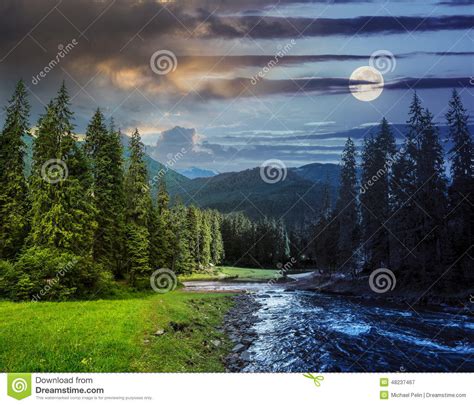 Mountain River In Pine Forest Day And Night Stock Image Image 48237467