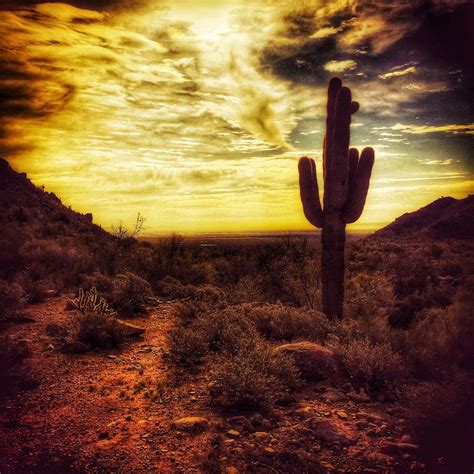 Arizona Desert Landscape Photography Nature Etsy
