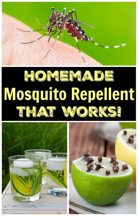 Homemade Mosquito Repellent That Works Kitchen Fun With My 3 Sons