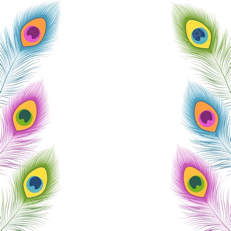 sides left border right colourful peacock feathers peacock feathers border blue png