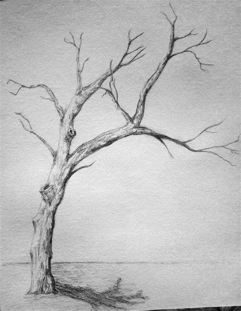 Withered Tree Sketch By WanderingEntity Tree Pencil Sketch Pencil