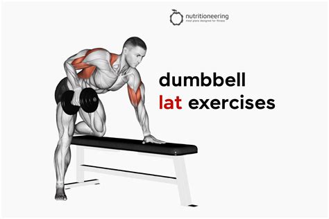 13 Dumbbell Lat Exercises To Beef Up Your Back Workout Nutritioneering