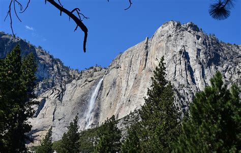 Yosemite National Park Deaths Israeli Tourist Dies Taking Selfie On