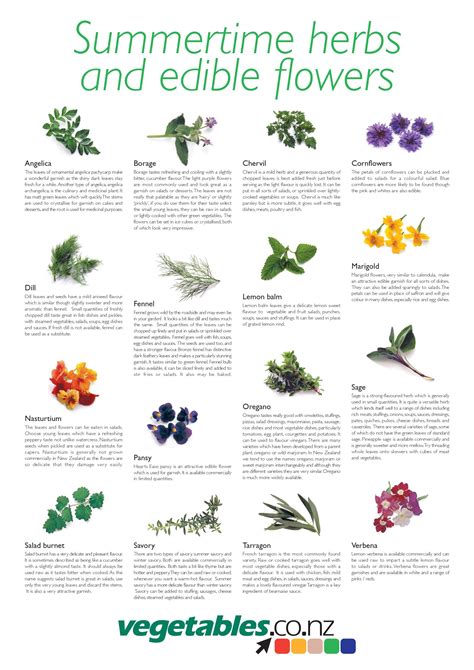 You can have fun cooking a meal, making candy, preparing a salad, or decorating a dinner plate. Herb & Spice Chart | Herbs, Edible flowers, Edible plants