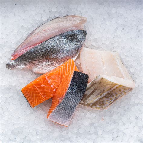 Fresh Fish Selection 6 Portions The Sea The Sea Online