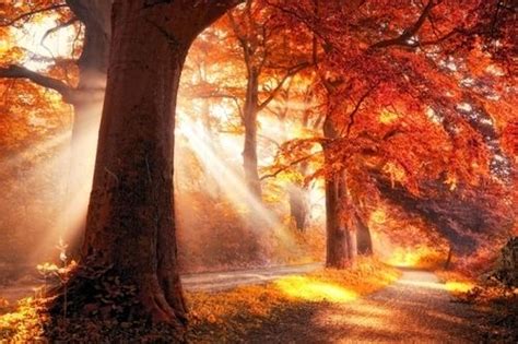 Via 30 Colorful Photos Of Autumn Nature