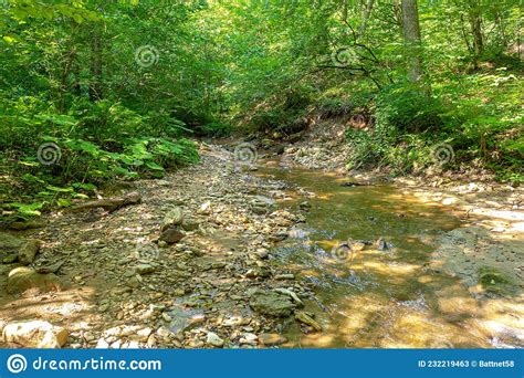 Mountain Rivers Sources Of Ecologically Clean Resources Of Water