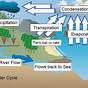 Flow Chart Of The Water Cycle