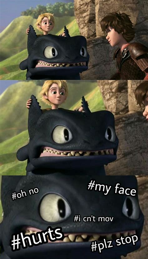 WHY WAS TOOTHLESS MAKING THAT FACE THO How Train Your Dragon Httyd