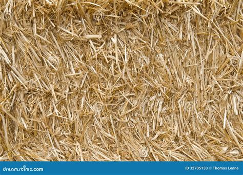 Straw Texture Stock Image Image Of Plant Farm Natural 32705133