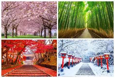 Experience The Seasons A Complete Monthly Guide To The Weather In
