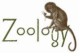 Photos of Online Degree Zoology Animal Biology