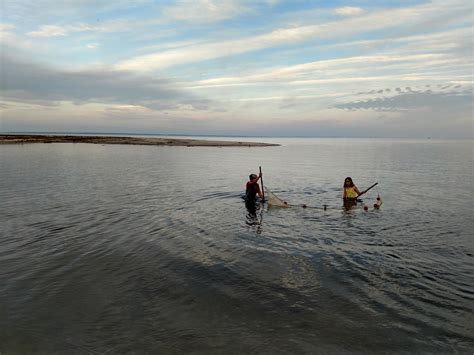 Surrounded By Water Paddle Calvert County Md Sponsored Content