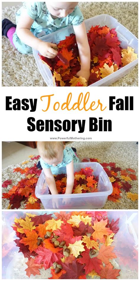 That is why i adore this age group and am amazed at how many wonderful things they can create and learn if given a chance. Easy Toddler Fall Sensory Bin Idea