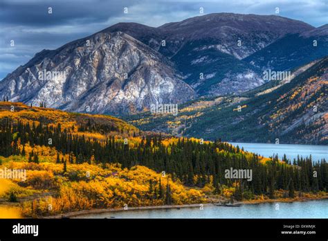 Autumn Scenic Of Tagish Lake South Of Whitehorse Yukon Territory
