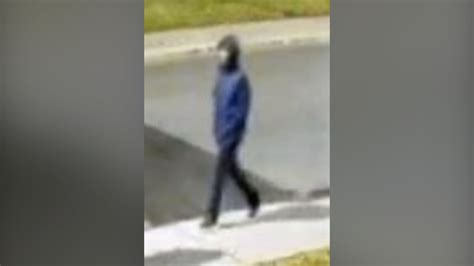 woman followed home sexually assaulted in north york ctv news