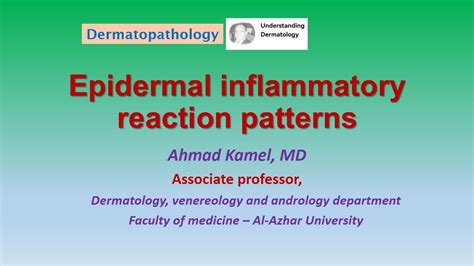 Epidermal Inflammatory Reaction Patterns Dermatopathology Youtube