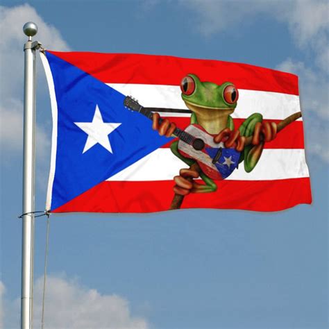 Puerto Rico Frog Flag Banner