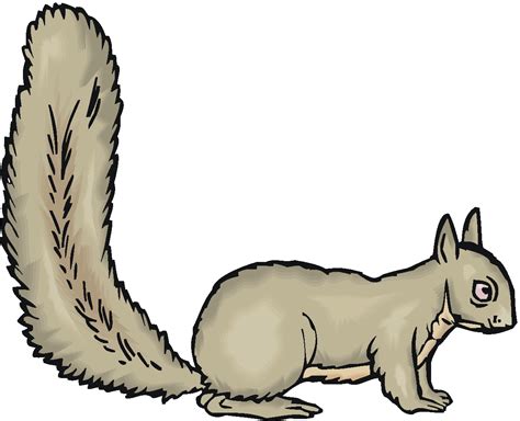 Arctic Ground Squirrel Clipart 20 Free Cliparts Download Images On