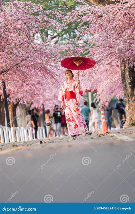 woman in yukata kimono dress holding umbrella and looking sakura flower or cherry blossom