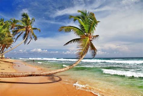 A Guide To Sri Lankas Best Beaches On The Go Tours