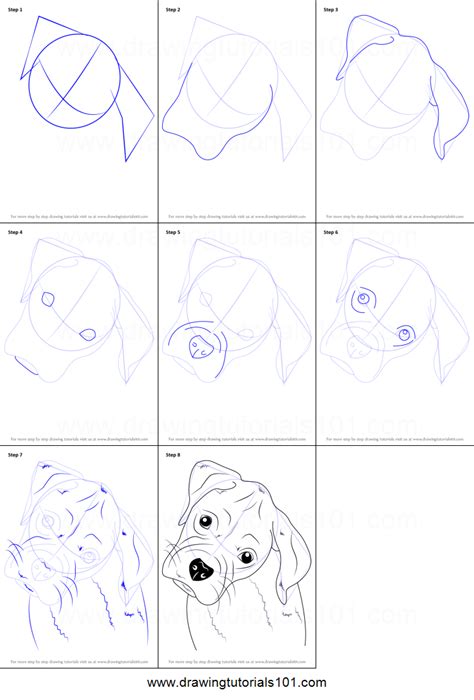 Through this tutorial, you will learn how to draw a beagle, the same method applies to any and all. How to Draw Boxer Puppy Face printable step by step drawing sheet : DrawingTutorials101.com