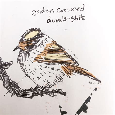 For those who have a disdain for birds, or bird lovers with a sense of humor, this snarky. Field Guide to Dumb Birds of North America — Golden Crowned Dumb-Shit This dumb little shit...