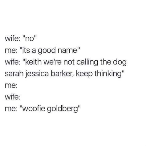 Dog Names Rterriblefacebookmemes