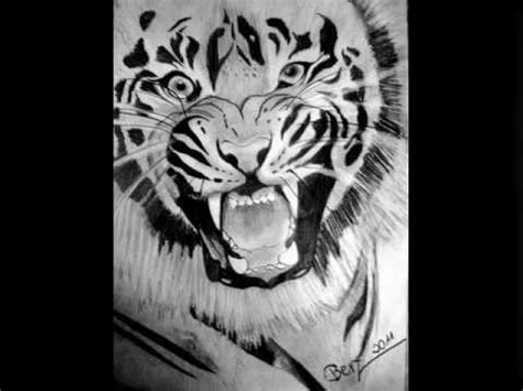 Rysunki ołówkiem, szkice. My drawings - YouTube