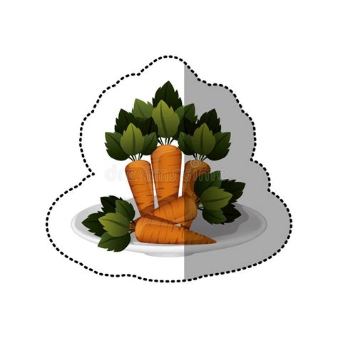 Colorful Sticker Of Carrots Vegetable Stock Vector Illustration Of
