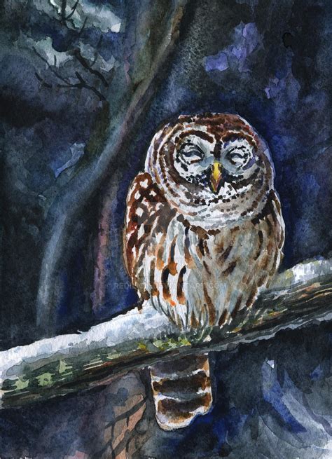 Tawny Owl By Redilion On Deviantart