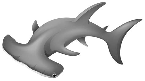 Hammerhead Shark Clip Art Sharks Png Download 30001681 Free