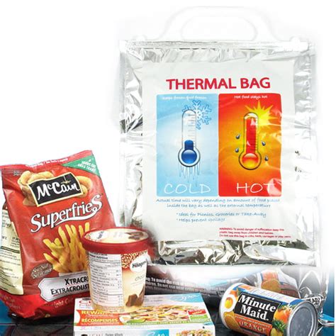 1 Small Insulated Foil Grocery Bag Hot Cold Reusable Thermal Food