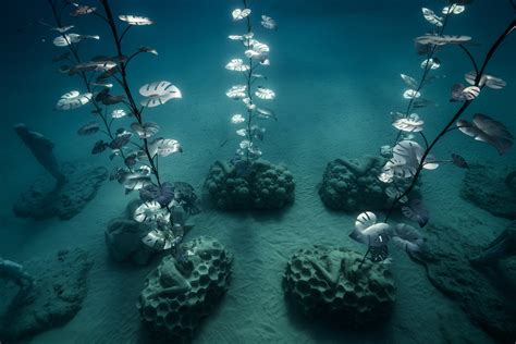 The First Underwater Museum In The Mediterranean Opens In Cyprus Miif