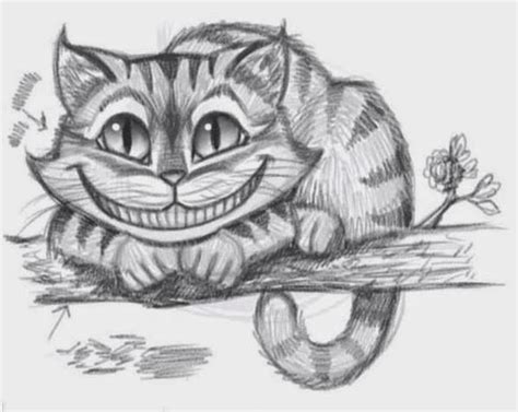 40 easy illustrated animal sketch drawing ideas. How to Draw the Cheshire Cat? - The Idea King