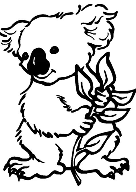 Farm and livestock animals for coloring. Koala Outline - Cliparts.co
