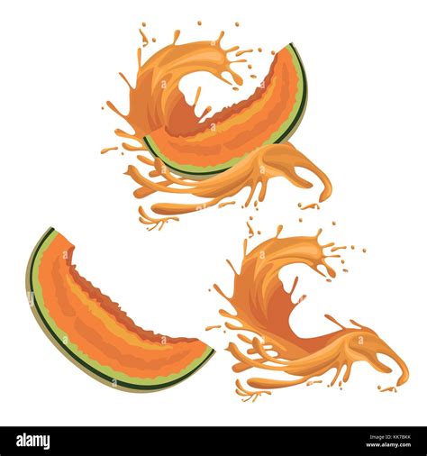 Melon Fruits Splash Stock Vector Image And Art Alamy