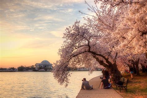 The Cherry Blossom Festival An Annual Calendar Event In The Us