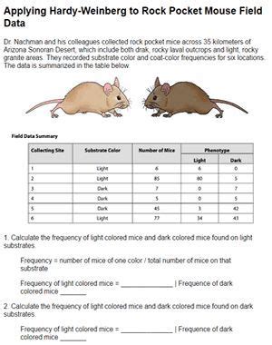 Monohybrid mice answer key worksheet then you will divide students into 8 groups and each group will review some materials on their assigned method of use and will also have the option of finding additional online resources as they then you. Hardy Weinberg and the Pocket Mouse | Biology lessons, Biology classroom, Teaching biology