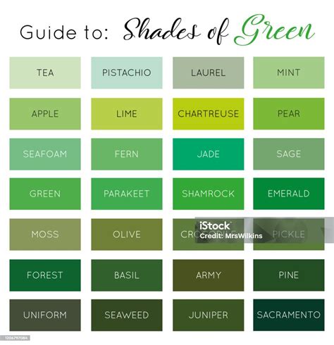 Guide To Shades Of Green Vector Stock Illustration Download Image Now