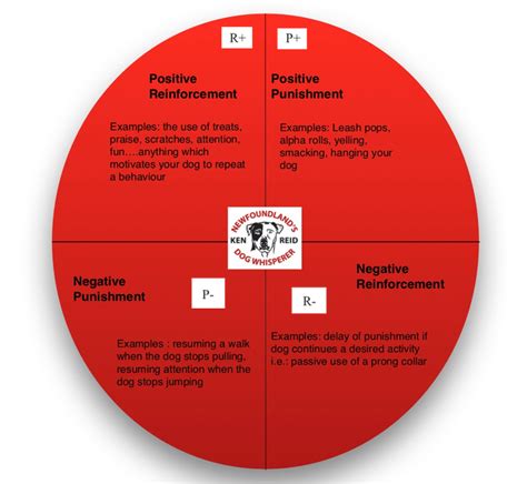 Behavior therapy/modification aims at modifying behavior by reinforcing acceptable behavior and suppressing undesirable behavior. Let's Talk About Punishment, Psychology and Behavior ...