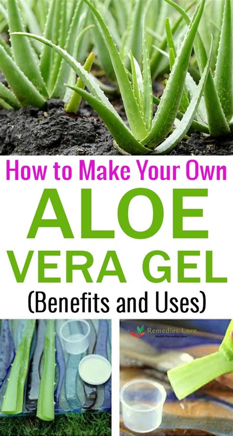 But just like so many other things, it is incredibly easy and inexpensive to make at home. How to Make Your Own Aloe Vera Gel - Remedies Lore