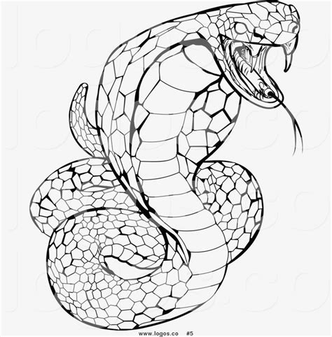 Viper Snake Sketch at PaintingValley.com | Explore collection of Viper