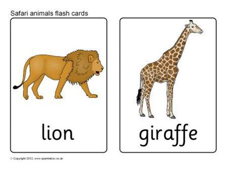 Check spelling or type a new query. 15 Animal Flash Cards | Kitty Baby Love