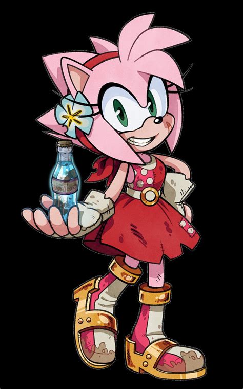 Pin By Sonamy On Amy Rose Amy The Hedgehog Amy Rose The Hedgehog